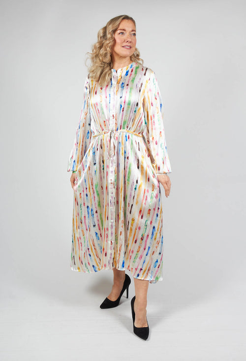 Marly Dress in Shades Multi