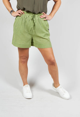 turn up shorts in green check