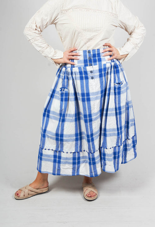 Bertin Skirt in Blue Checked Cotton