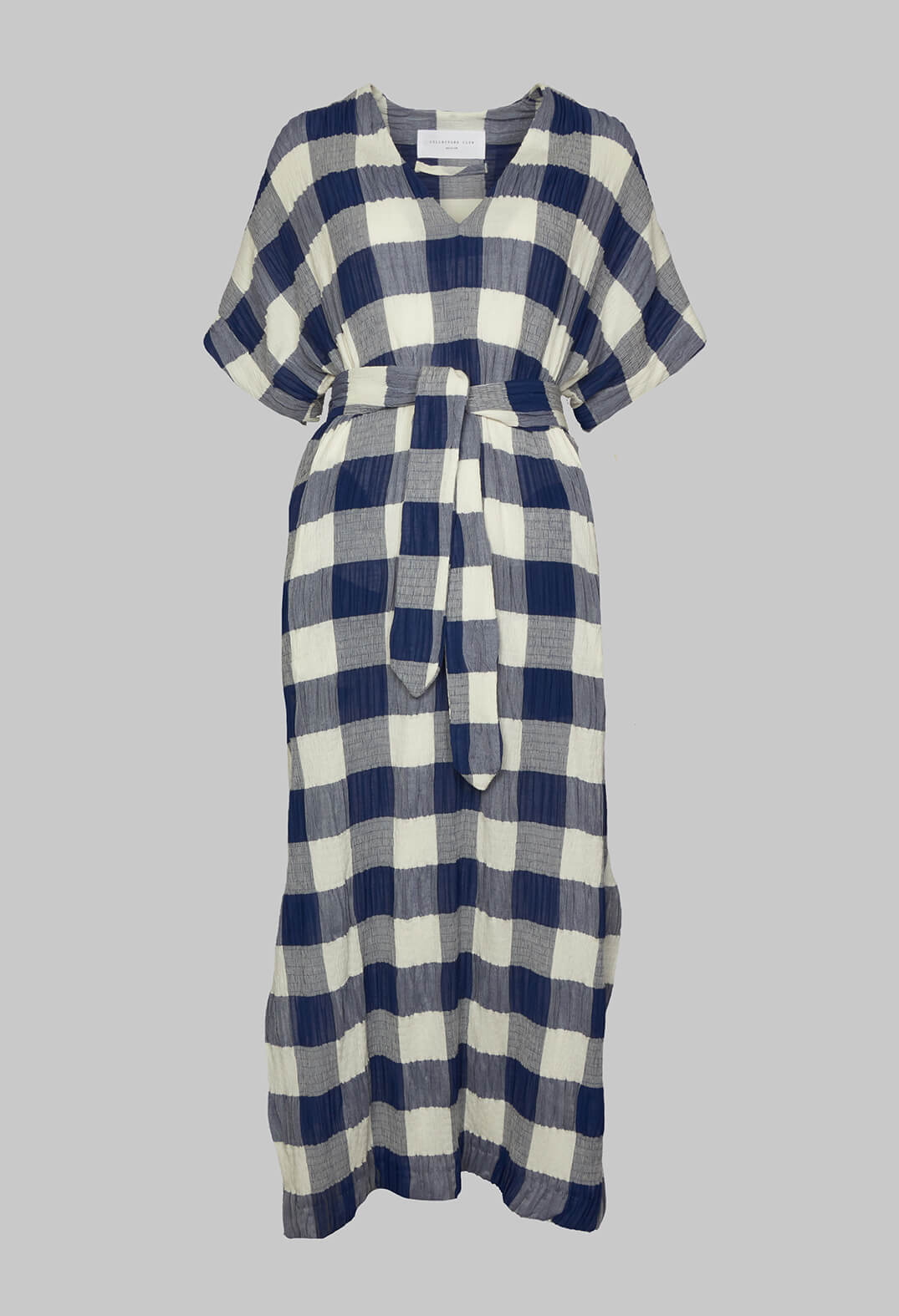 Crinkle Dress In Blue and White Check