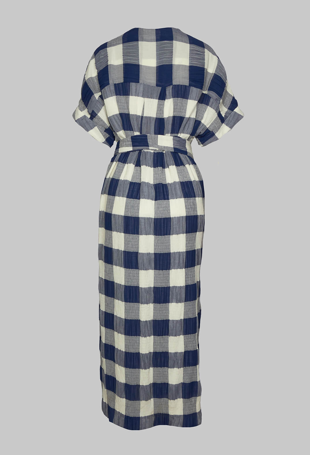 Crinkle Dress In Blue and White Check