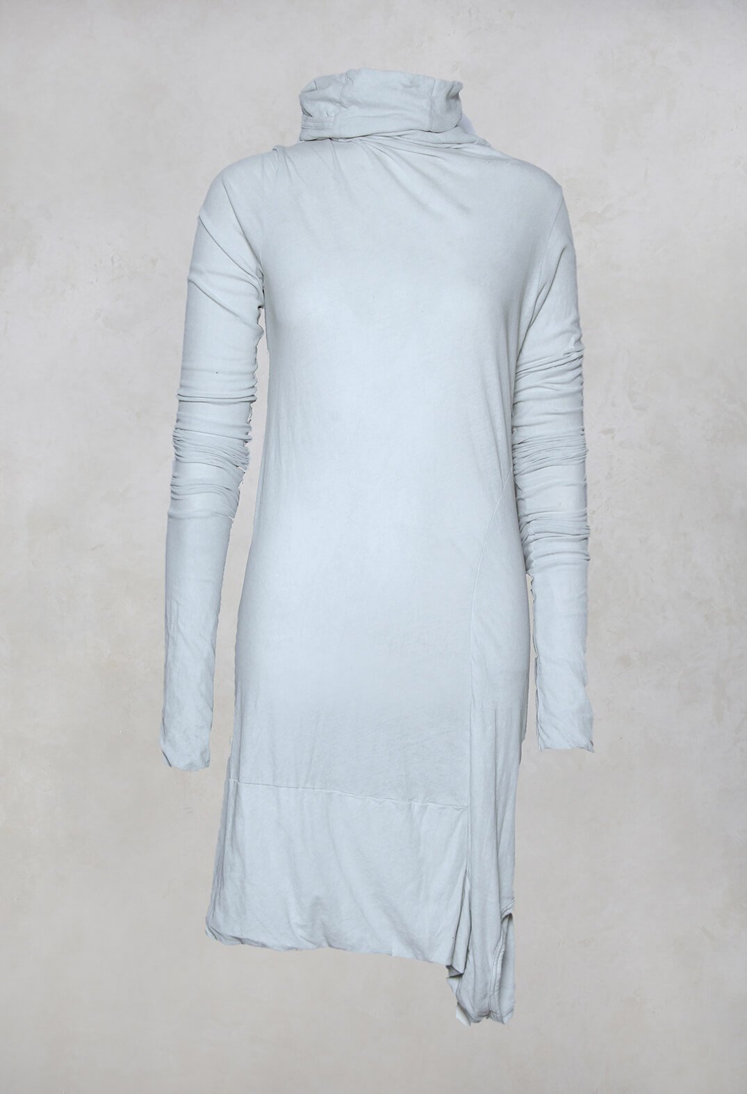 Fitted Jersey Tunic with Roll Neck in Birch