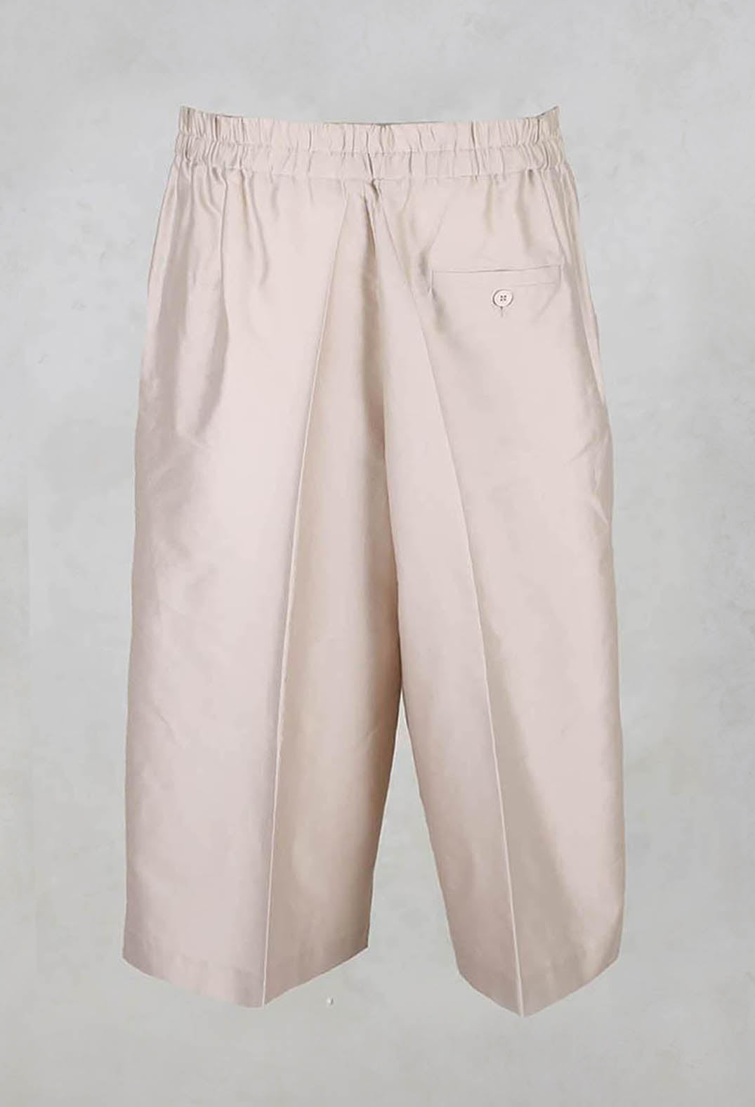 Cropped Wide Leg Trousers in Champagne