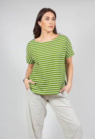 Ibisco R Stripe T-Shirt in Avocaco