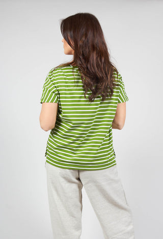 Ibisco R Stripe T-Shirt in Avocaco