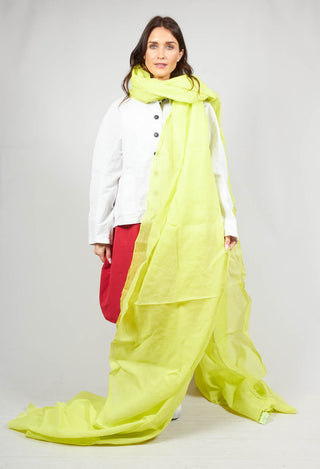 Large Cotton Scarf in Spring