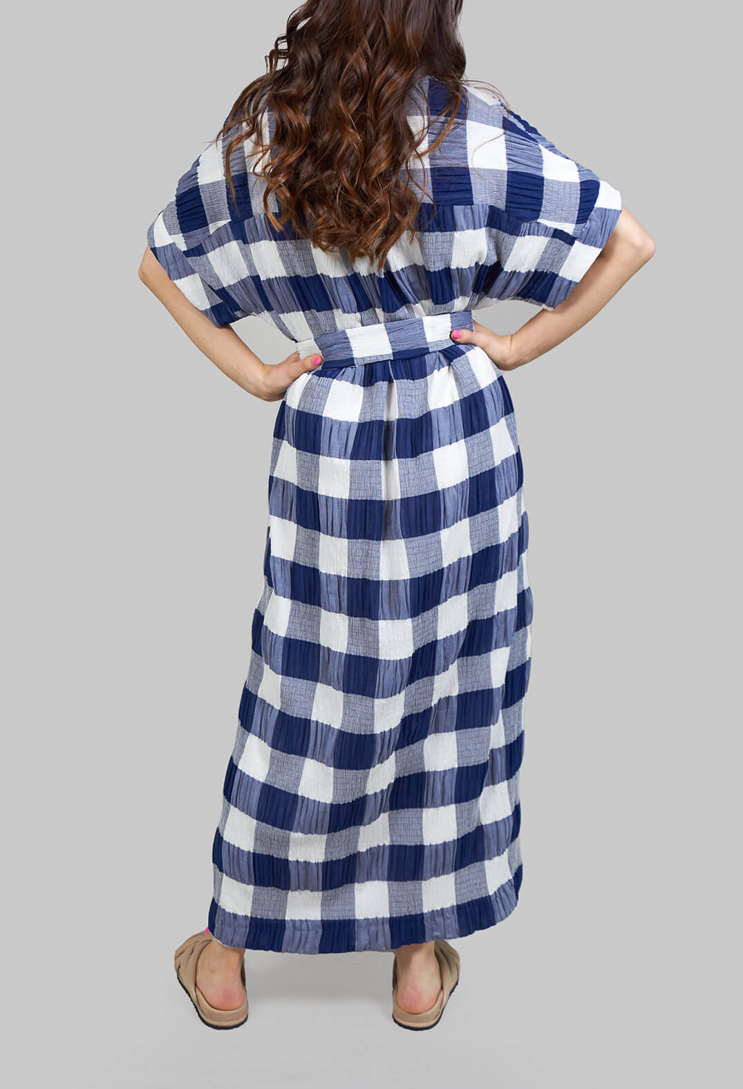 Crinkle Dress In Blue and White Check