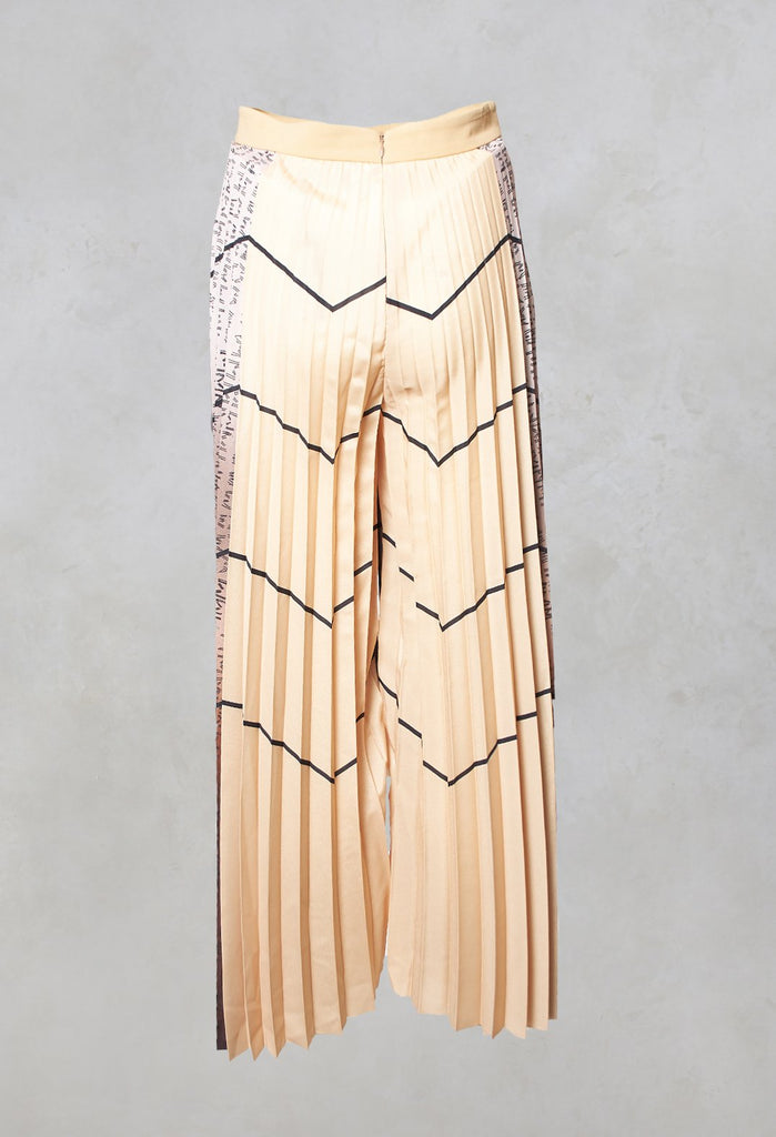 Pleated Trousers in Multicolor