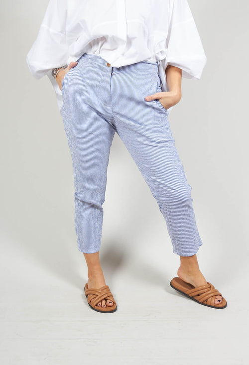Poly Trousers in Blue Stripes