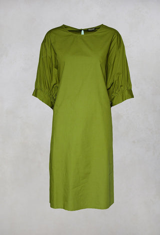 Shift Dress in Verde-Green