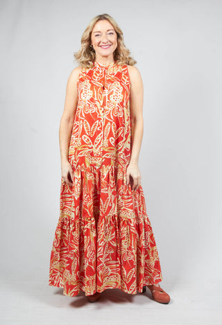 sleeveless maxi dress in leo print Beatrice B