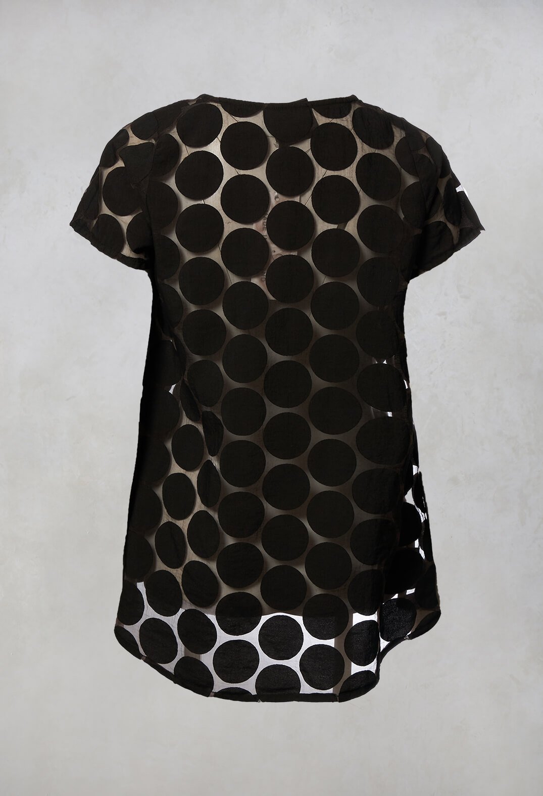 Spot Sheer Short Sleeve Tunic in Black