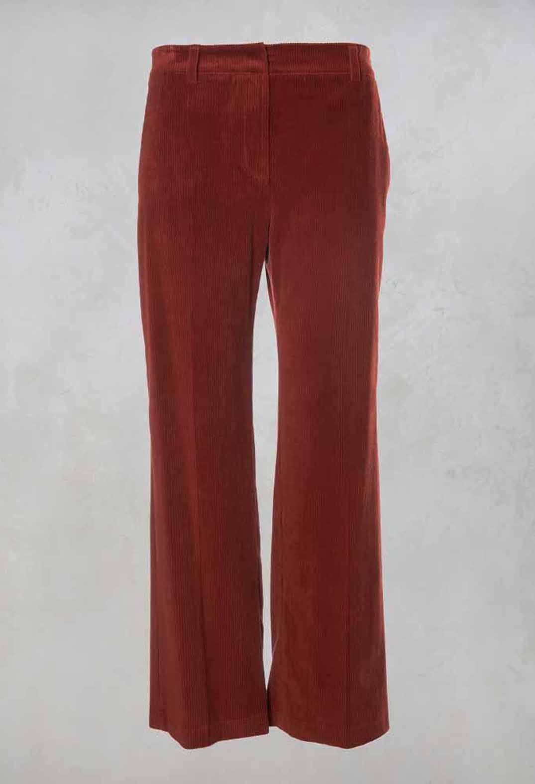 Straight Leg Courdroy Trousers in Lobster
