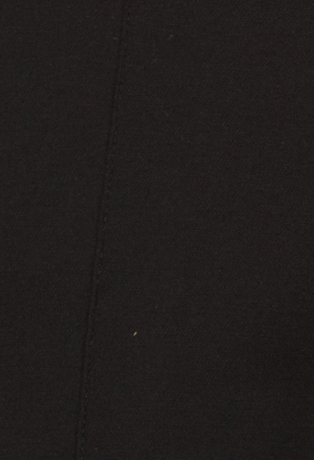 Straight Leg Trousers with Front and Back Pleats in Black